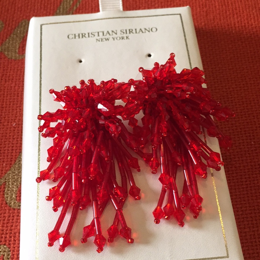 Elegant Earrings by Christian Soriano